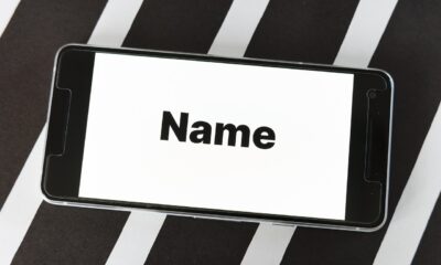 Storm Before Calm: High-End Domain Sales Plunge as Holiday Season Hits