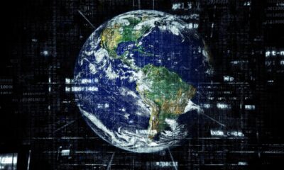 Exclusive Review: 2025 InterNetX/Sedo Domain Report & 2026 Survey