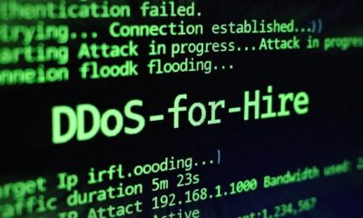 The Masjesu Botnet: A New DDoS Threat and Its Implications for Online Business Security