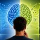 Why Your Phone Choice Has More to Do With Habit Than Hemispheres