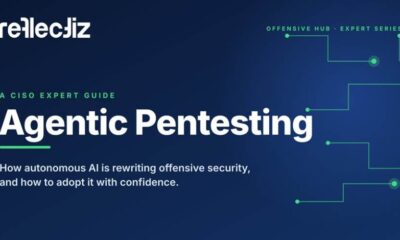 The New Race in Web Security: What Domain Owners Need to Know About Agentic Pentesting