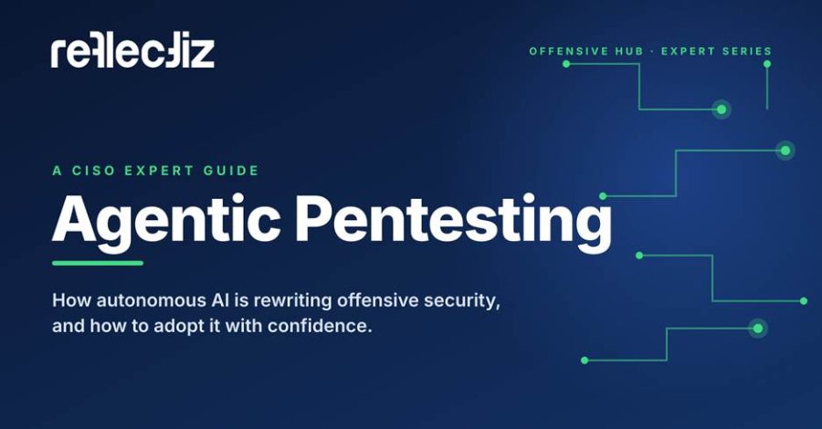 The New Race in Web Security: What Domain Owners Need to Know About Agentic Pentesting