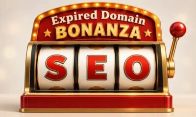 Expired Domains Fuel the iGaming Gold Rush: What Domainers Need to Know