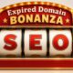 Expired Domains Fuel the iGaming Gold Rush: What Domainers Need to Know